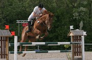 IMG_0329
