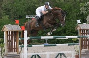 IMG_0336