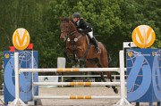IMG_0380