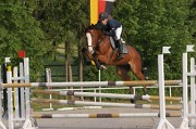 IMG_0006