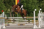 IMG_0016