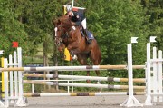 IMG_0026