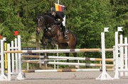 IMG_0049