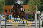 11IMG_0002