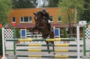 11IMG_0008