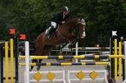 15IMG_0010