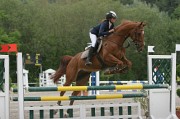 16IMG_0020