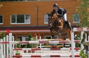 08IMG_0047