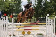 12IMG_0036