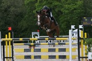 13IMG_0049