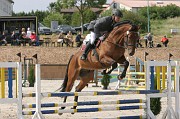 08IMG_0013