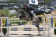 10-2IMG_0033
