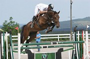 13IMG_0011