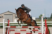 15IMG_0016