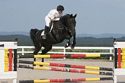 15IMG_0029