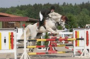 12-2IMG_0020