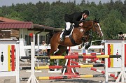 12-2IMG_0031