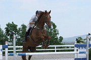 17-2IMG_0006
