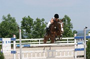 17-2IMG_0012