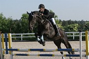 9-1IMG_0022