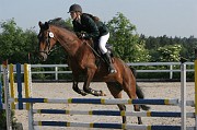 9-1IMG_0026