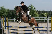 9-2IMG_0009