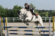 9-2IMG_0011