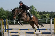 9-2IMG_0017
