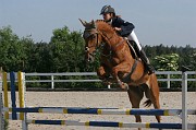 9-2IMG_0025