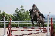 11-1IMG_0006