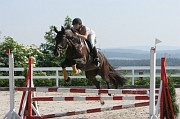 11-1IMG_0008
