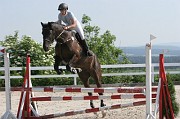 11-1IMG_0017