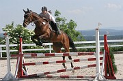 11-2IMG_0006