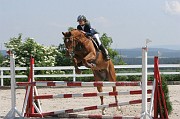 11-2IMG_0008