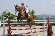 11-2IMG_0011