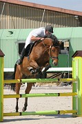 16-1IMG_0008