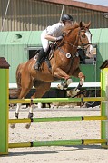 16-1IMG_0049