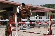 16-2IMG_0031