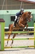16-2IMG_0037