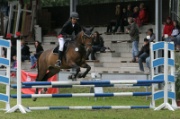 04IMG_0037