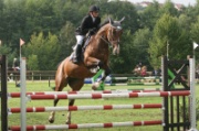 13-2IMG_0006