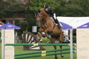 13-2IMG_0014