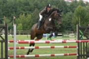 13-2IMG_0041