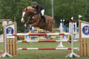 3-1IMG_0012