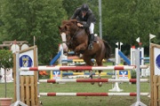 3-1IMG_0016