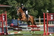 19IMG_0008
