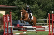 19IMG_0029