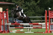 19IMG_0051
