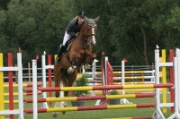 11-1IMG_0013