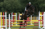 11-2IMG_0005